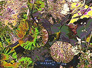 ../images/icon/AHicon/16美麗的邂逅-91_5X68.jpg