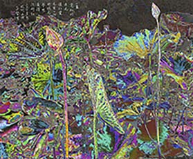 ../images/icon/AHicon/33一盞霓虹的夜光108X89.jpg