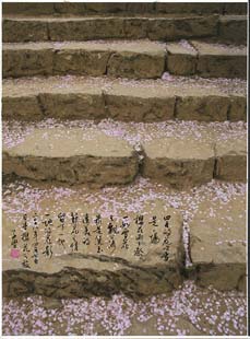 ../images/icon/BVicon/40花之祭_71X51_2106.jpg